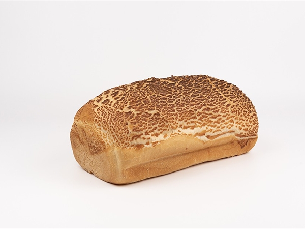 Tijger wit